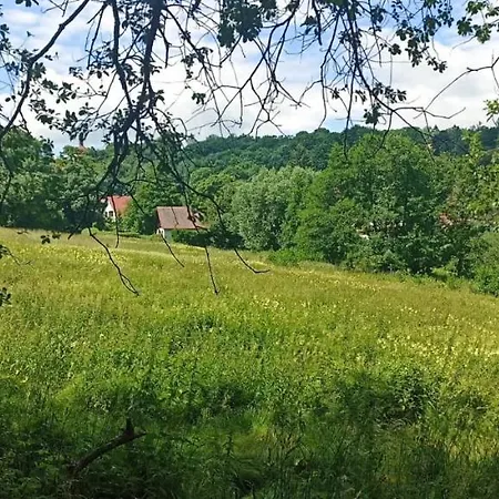 Chata U Krupalu * Polevsko